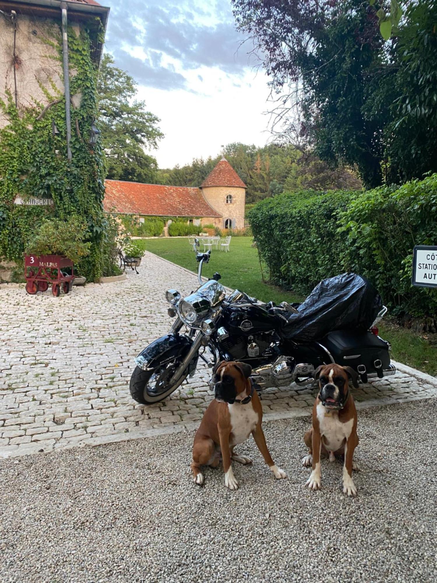 L'Orangerie De Malpas Bed & Breakfast Quingey Exterior photo