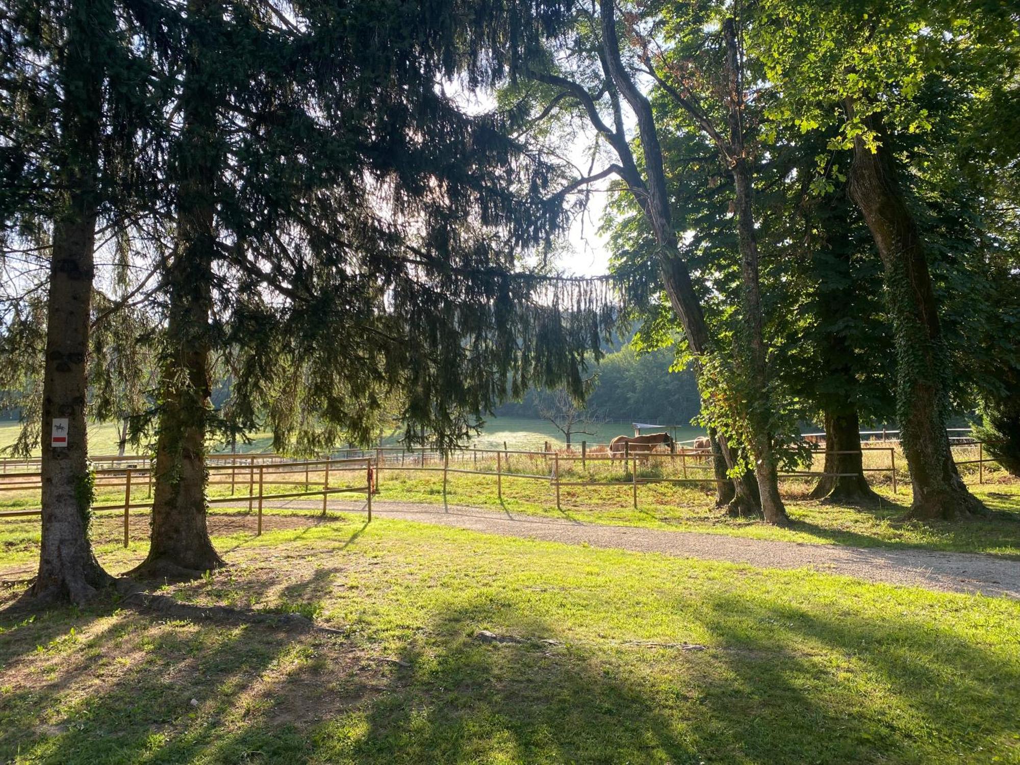 L'Orangerie De Malpas Bed & Breakfast Quingey Exterior photo